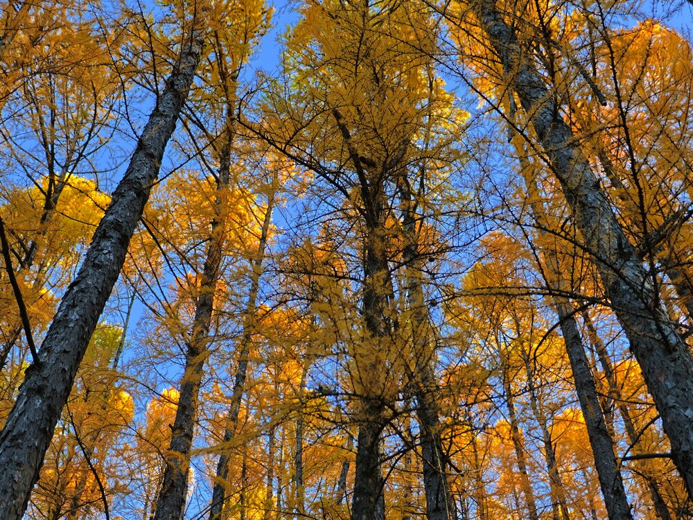 Photograph by Серёга Ануфриев