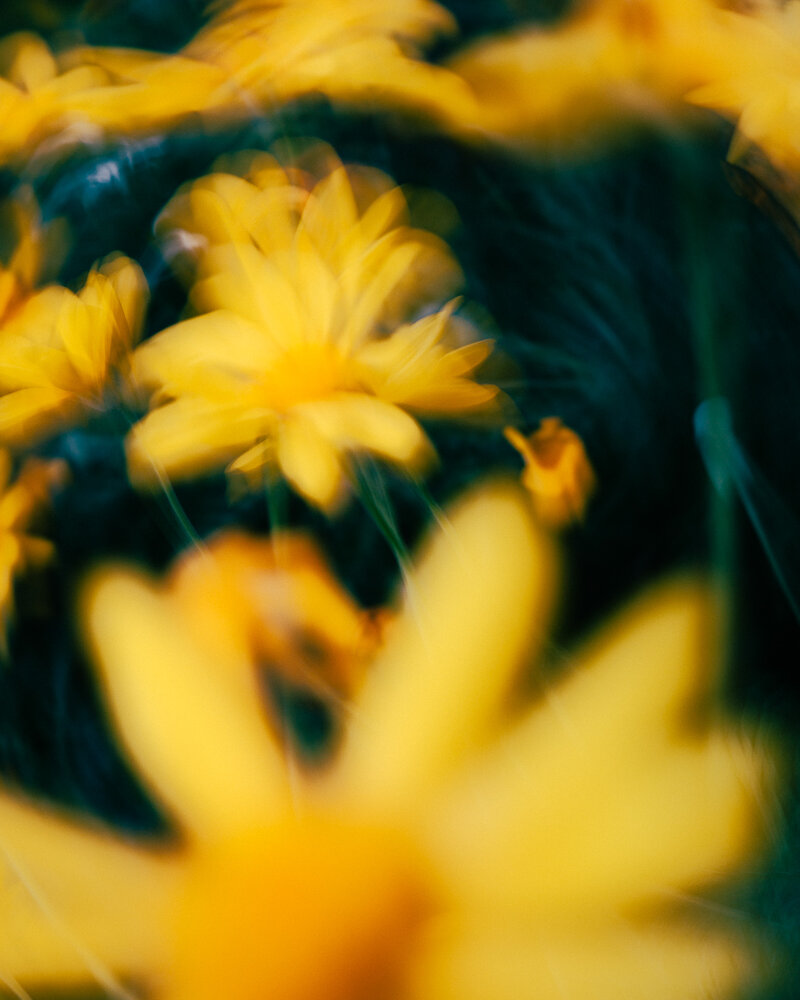Photograph by y tanco