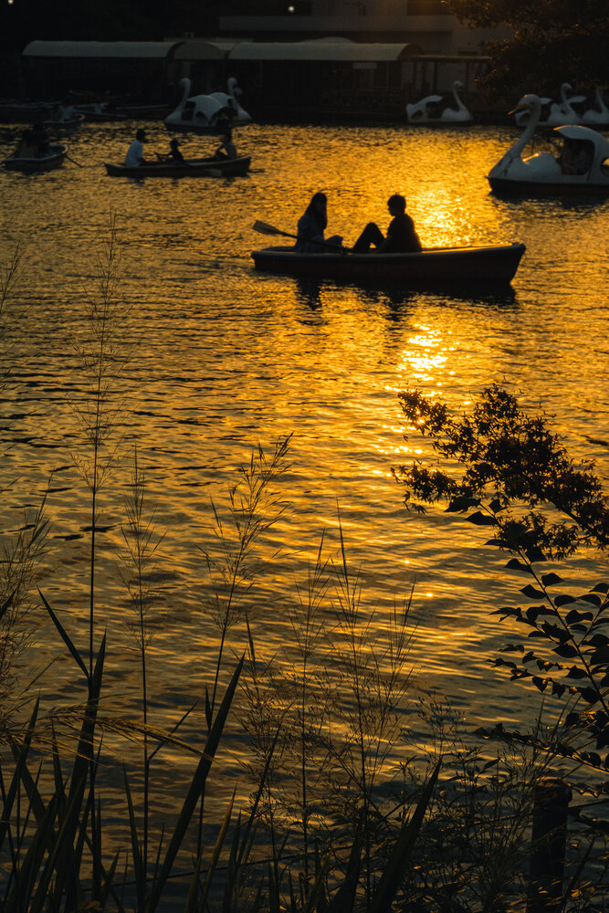 Photograph by y tanco