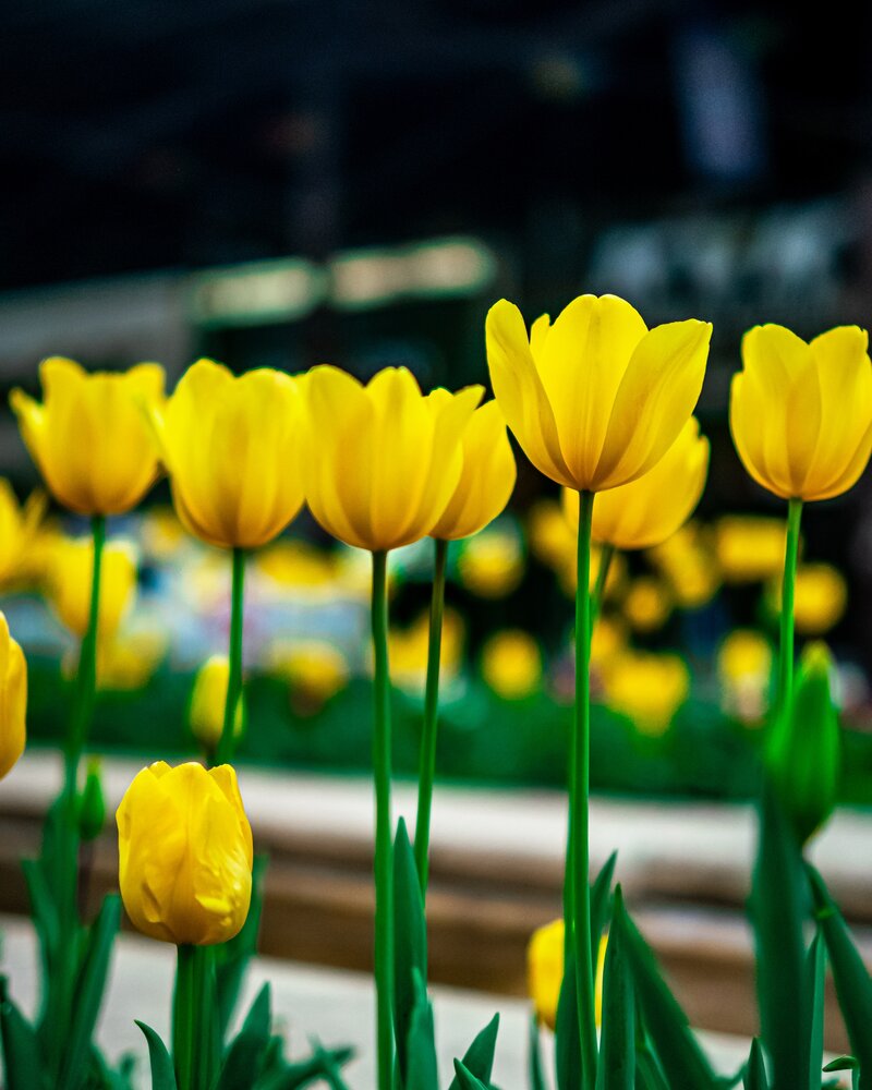 Photograph by Ayşegül Aytören