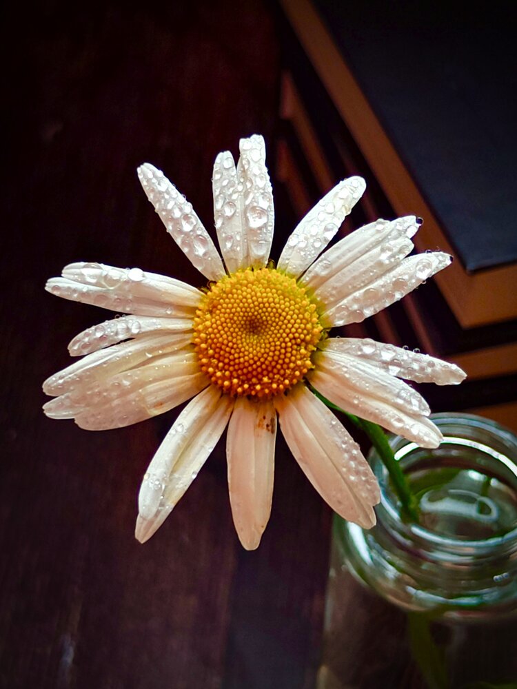 Photograph by Лариса Лысенко