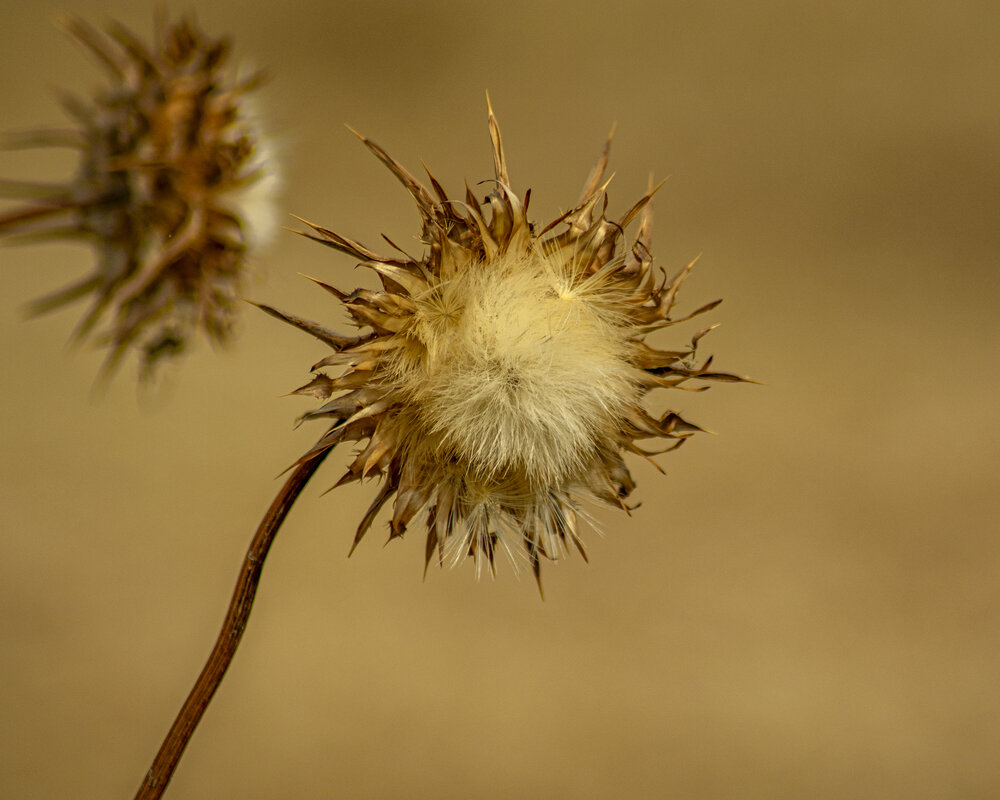 Photograph by Vitalii Kaznin
