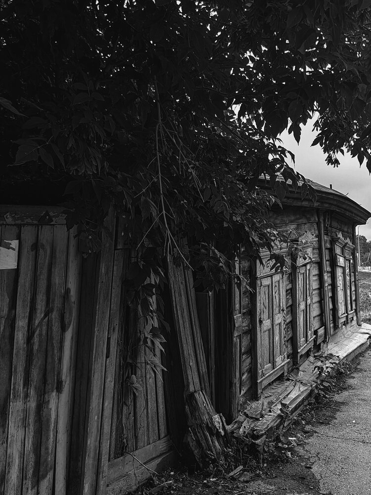 Photograph by Лариса Лысенко
