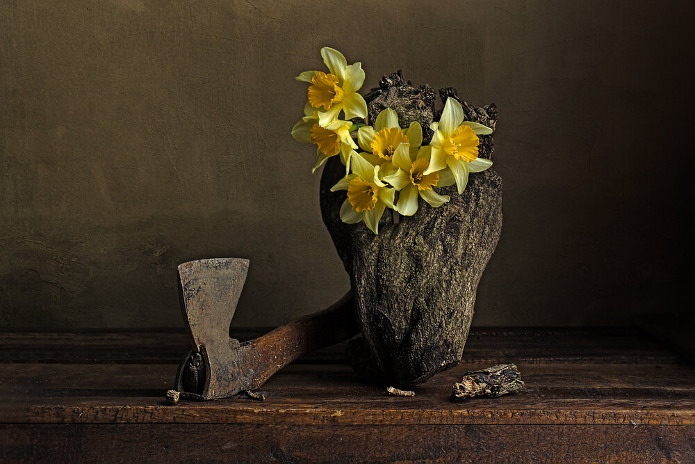 Photograph by Victoria Mogulyan