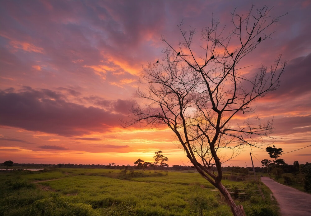 Photograph by Tirthankar Dey