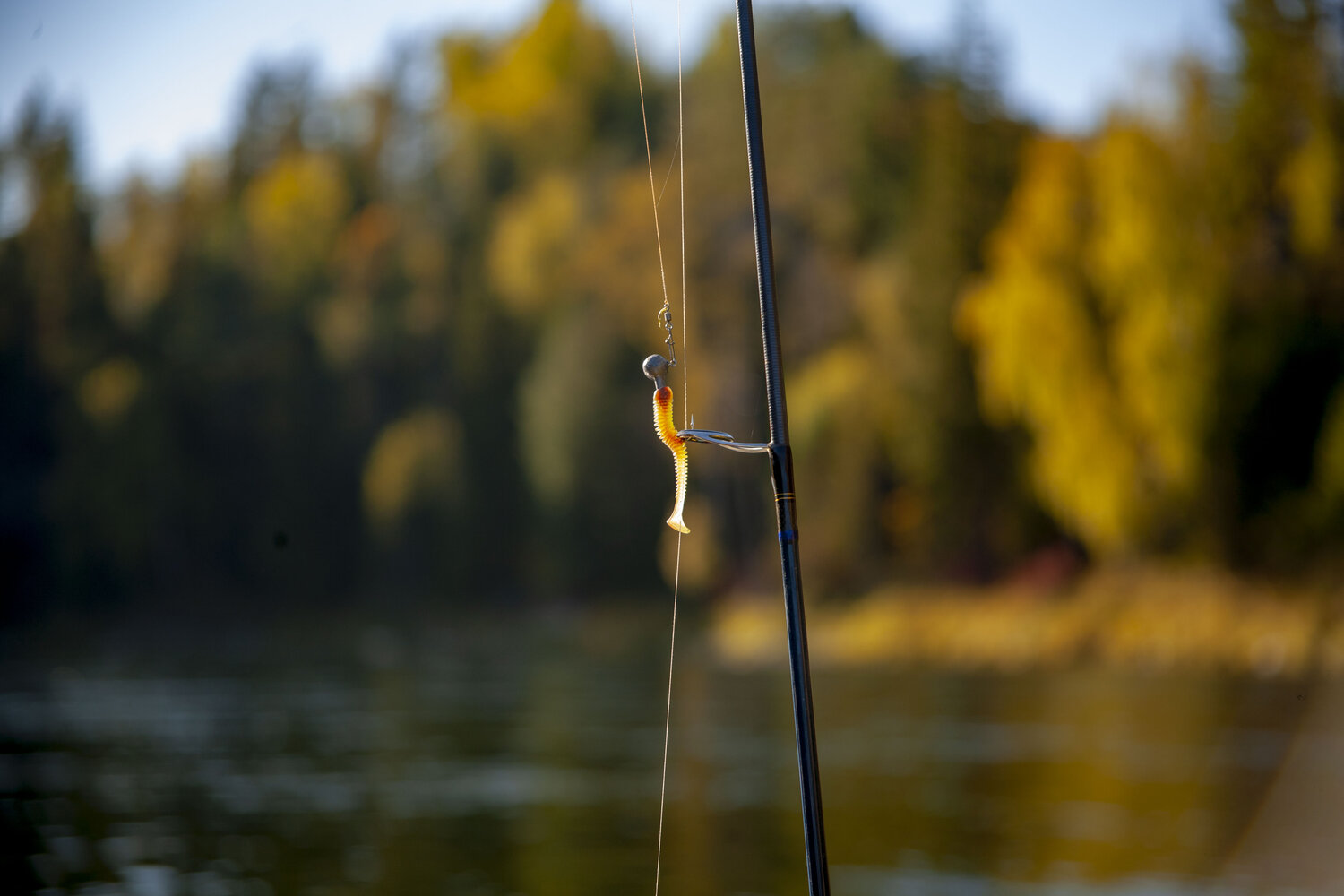 Photo #13816856
