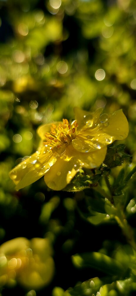 Photograph by Галина Перепечаева