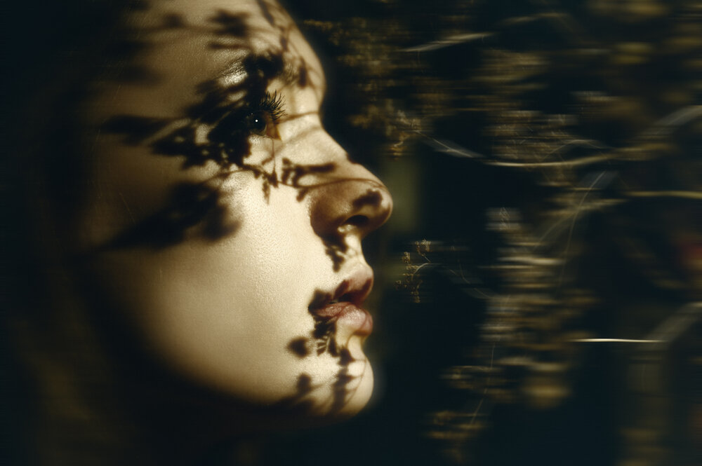 Photograph by Денис Труфанов