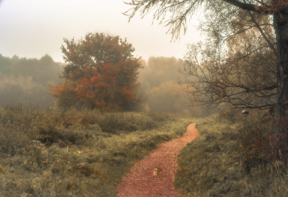 Photograph by Ивлев Артем