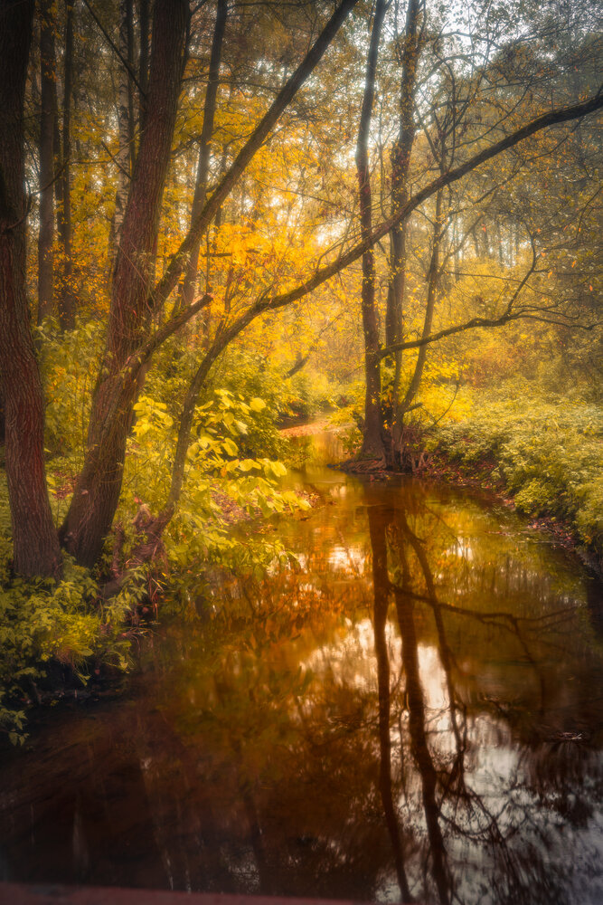 Photograph by Ивлев Артем