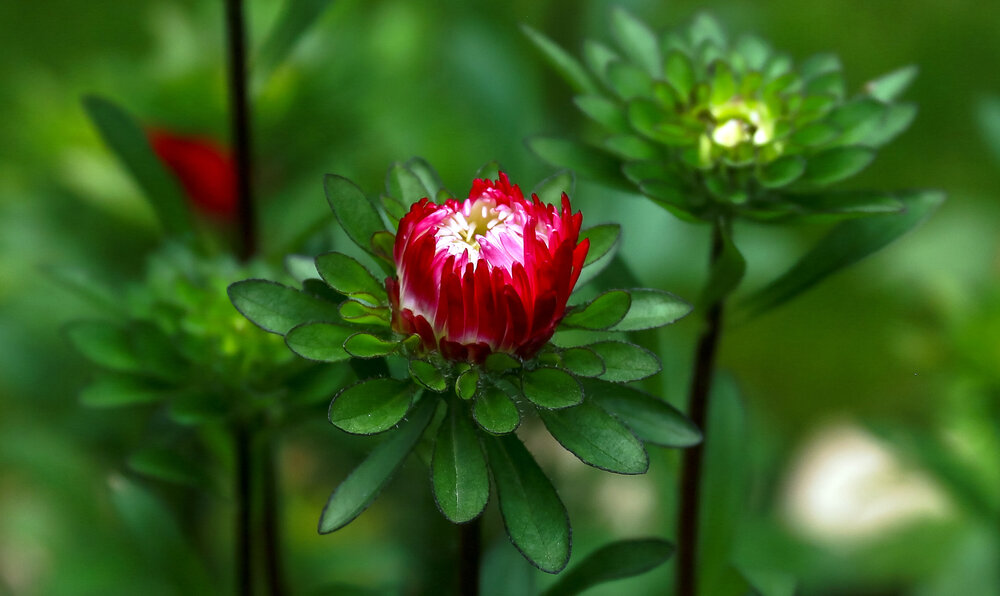 Photograph by Климов Дмитрий