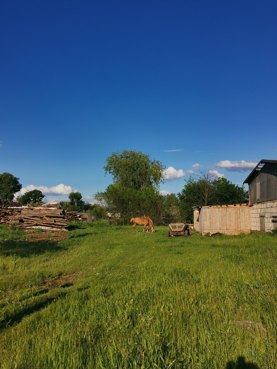 Photo #13817035