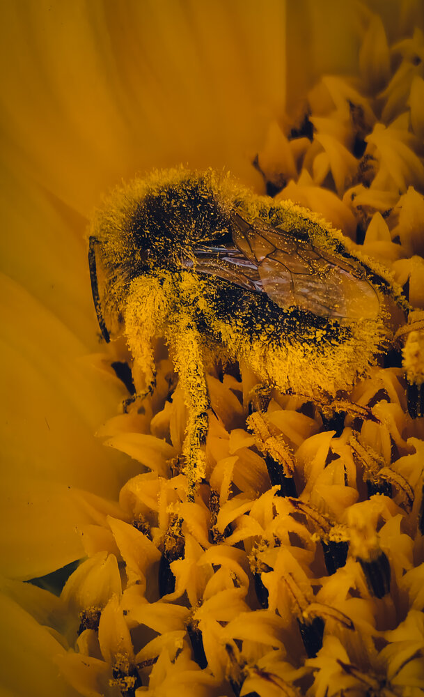 Photograph by Александр