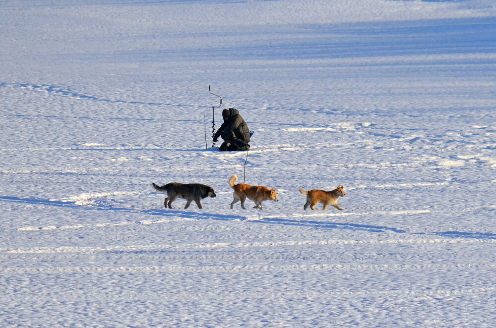 Photograph by Мария Черепкова