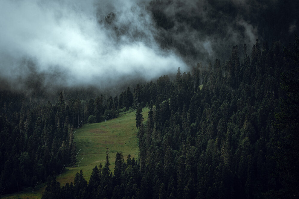 Фотография автора Денис Труфанов