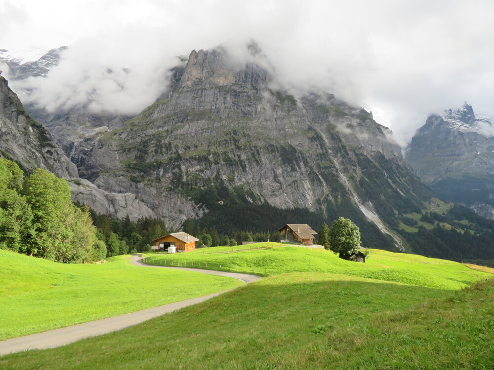 Alpine village in mountain meadow