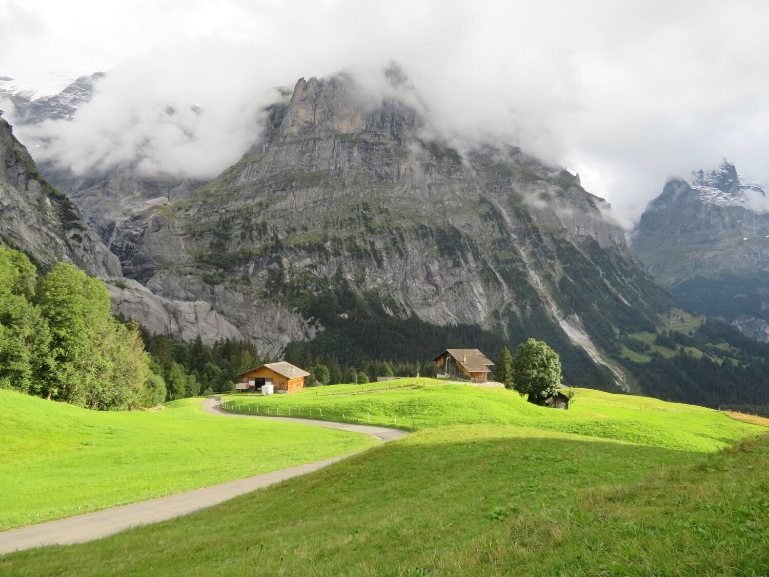 Alpine village in mountain meadow