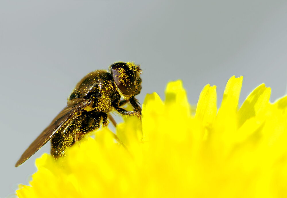 Photograph by Каменко Андрей