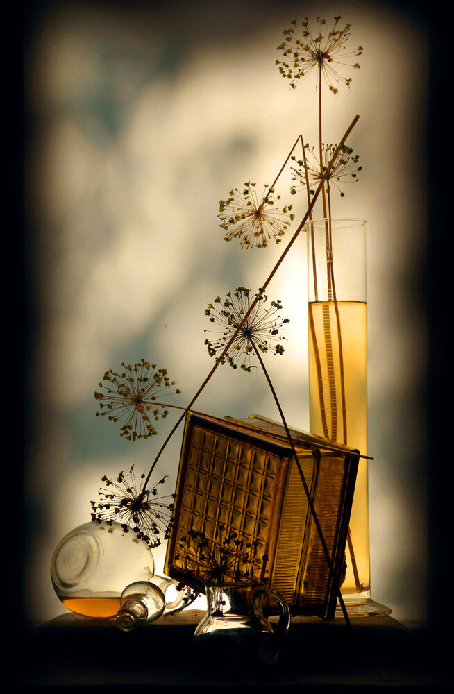 Photograph by Александр Зарх