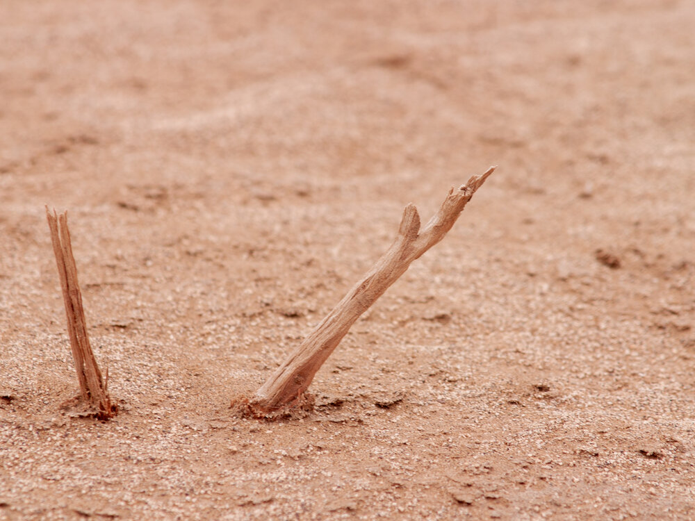 Photograph by Abdolreza Aleagha