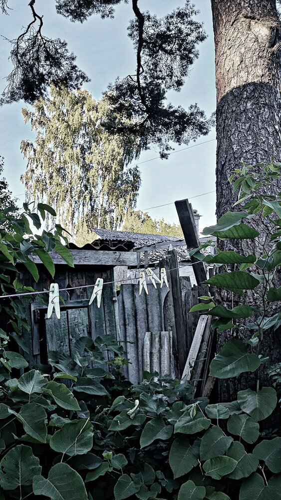 Photograph by Елена Юдина