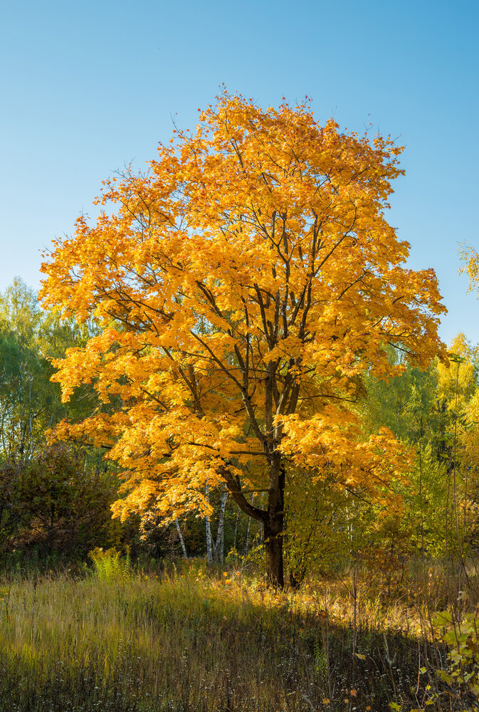 Photograph by Андрей Чуйков