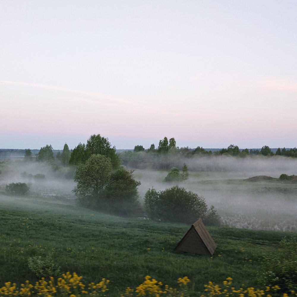 Photograph by Roman Kreider