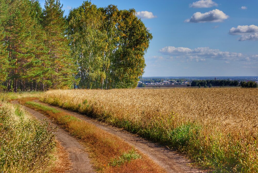 Photograph by Кожухарь Ирина
