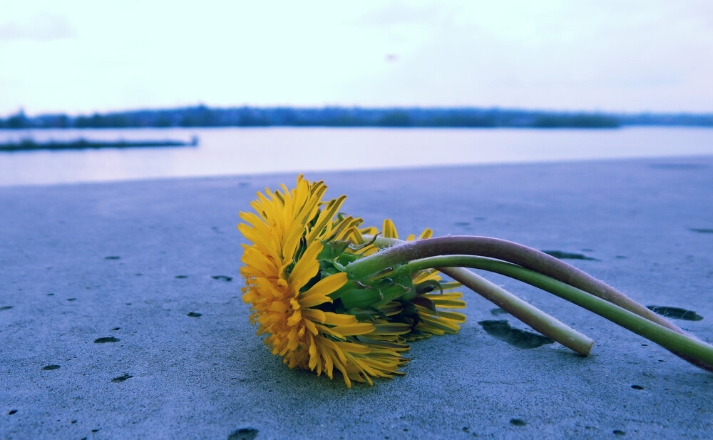 Photograph by Валерий Цуркан