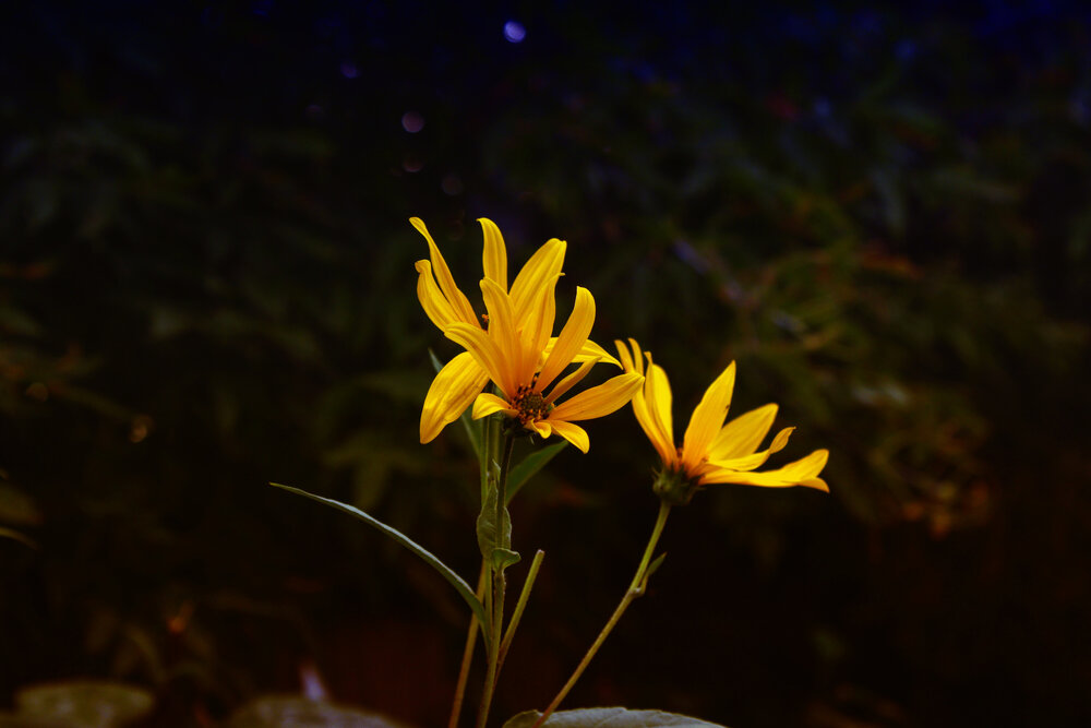 Photograph by Валерий Цуркан