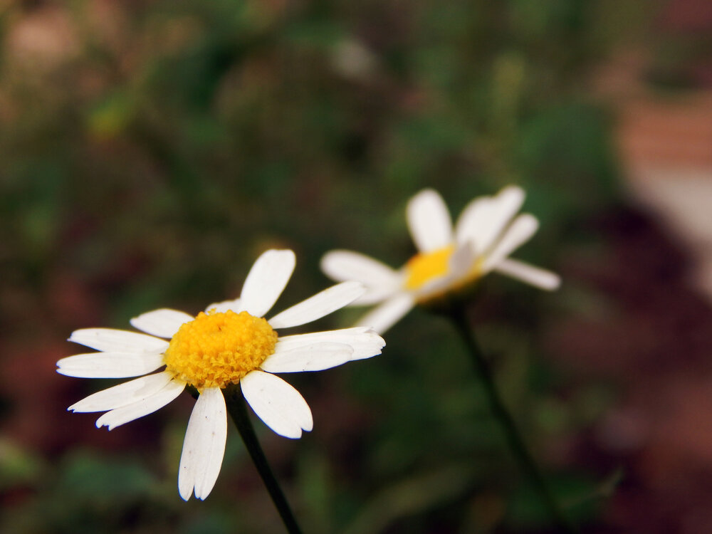 Photograph by Валерий Цуркан