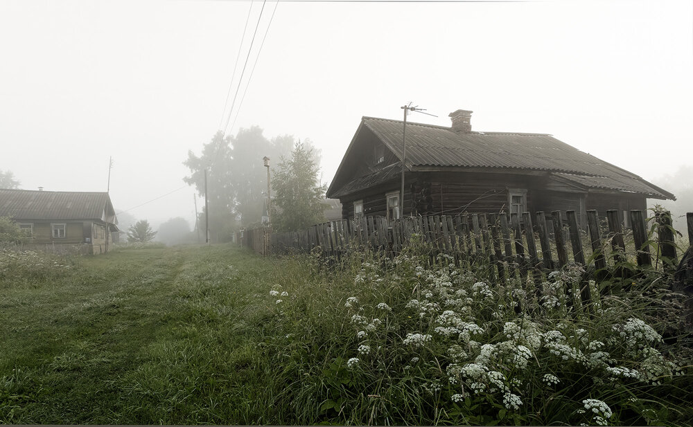 Photograph by Васенков Геннадий