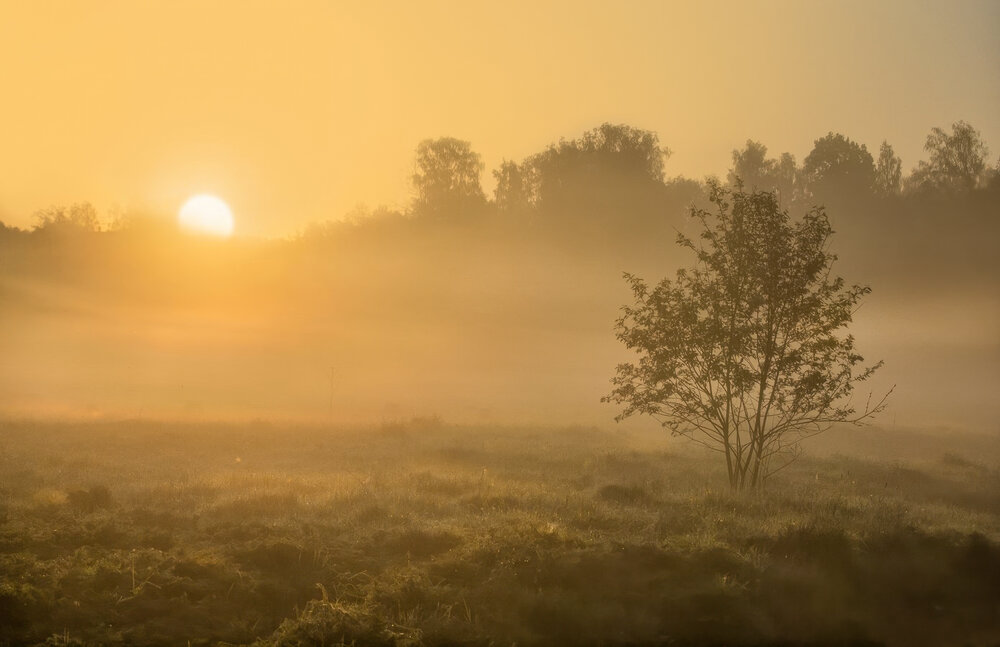 Photograph by Марина Брыдня