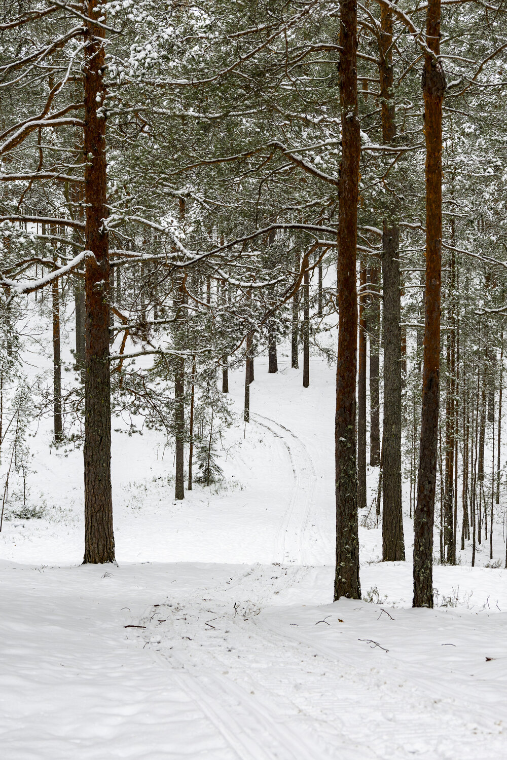 Photo #13817505