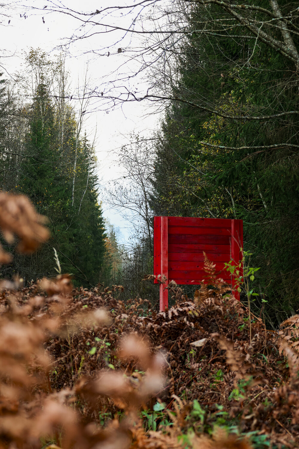 Photo #13817511