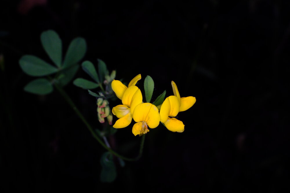 Фотография автора 