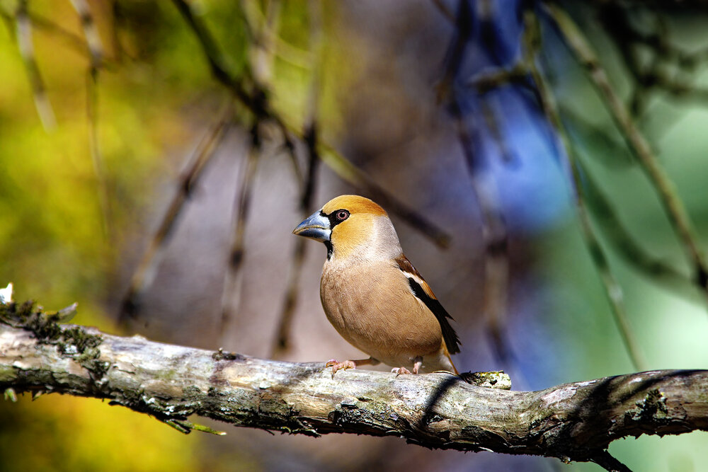 Photograph by Владимир Борисов