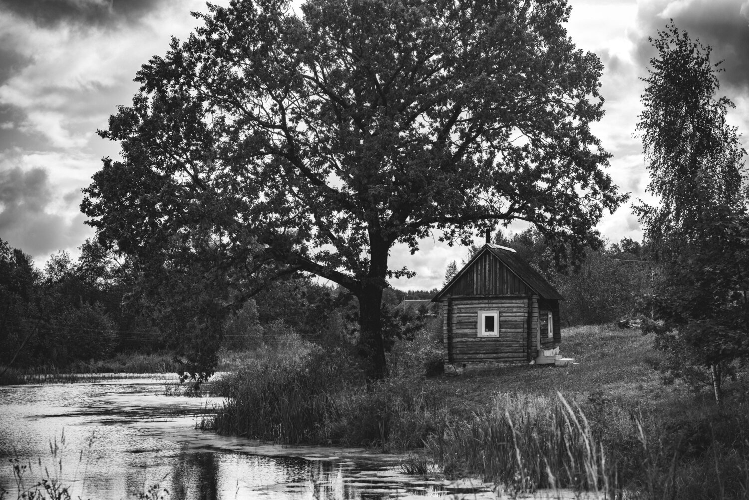 Photo #13817642