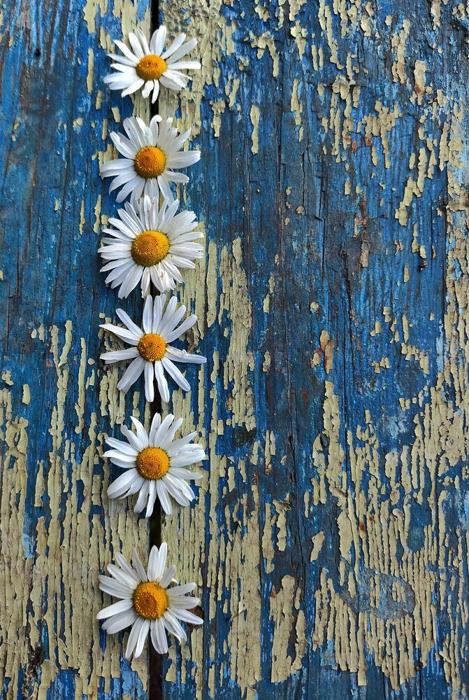 Photograph by Анна Александрова