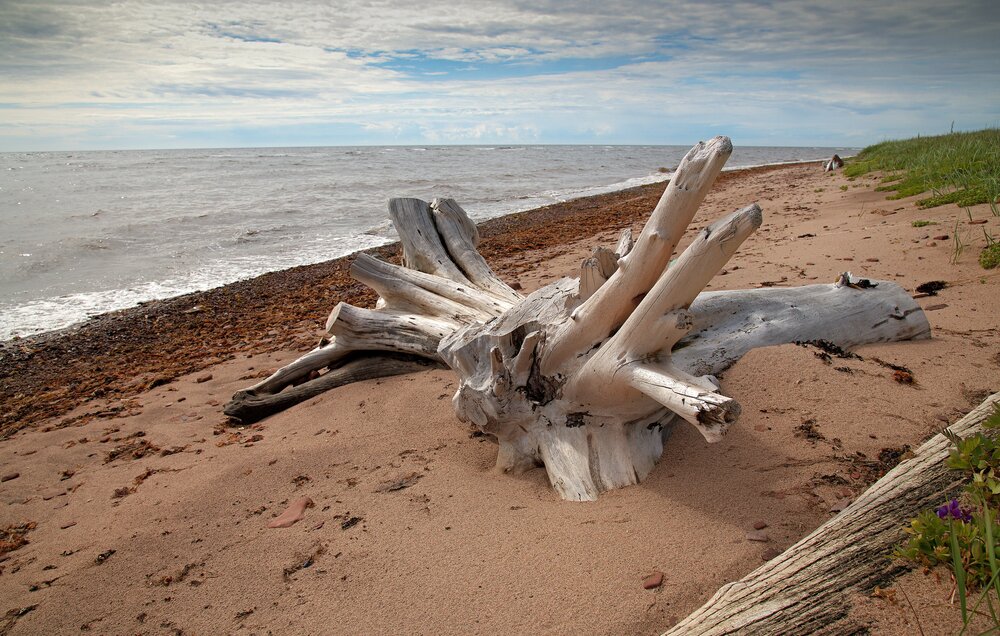 Photograph by Борис Чернов