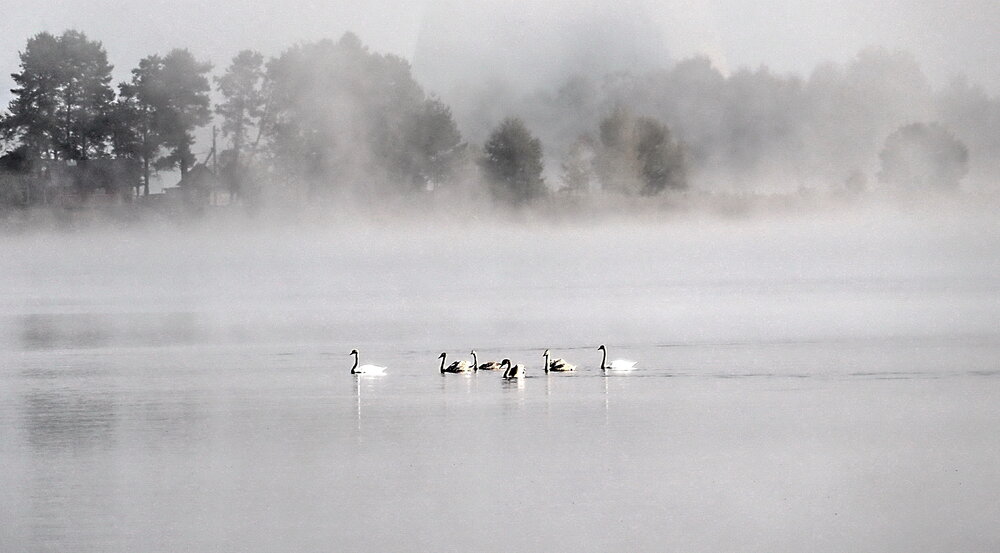 Photograph by Александр Лазебник