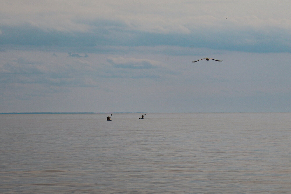 Photograph by Елена Данченко