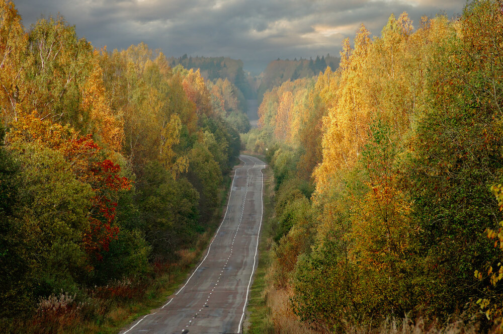 Photograph by Алексей Козлов