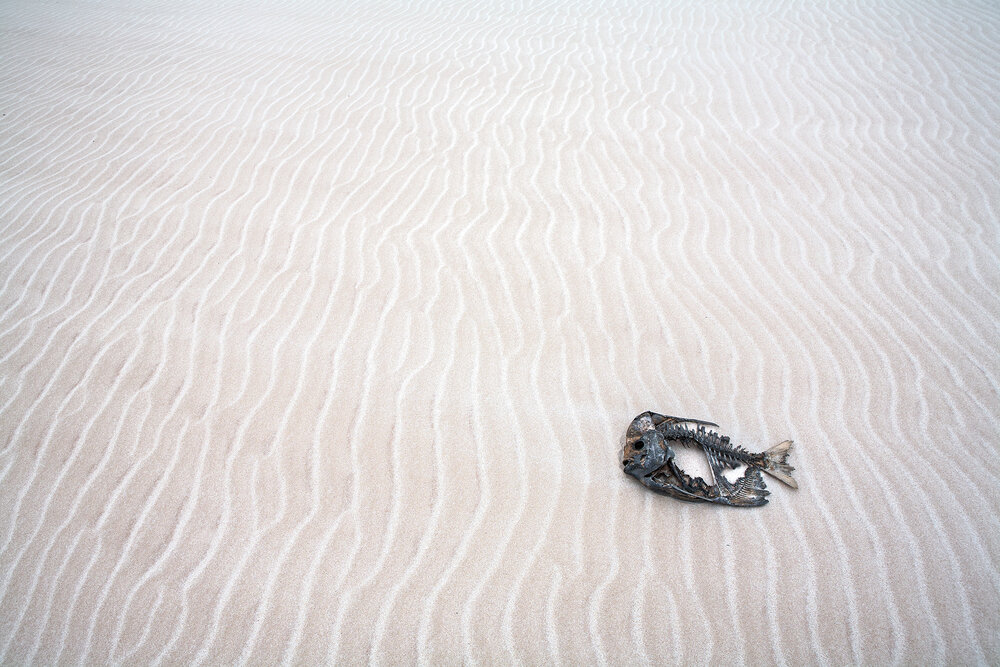 Photograph by Vladimir Melnik