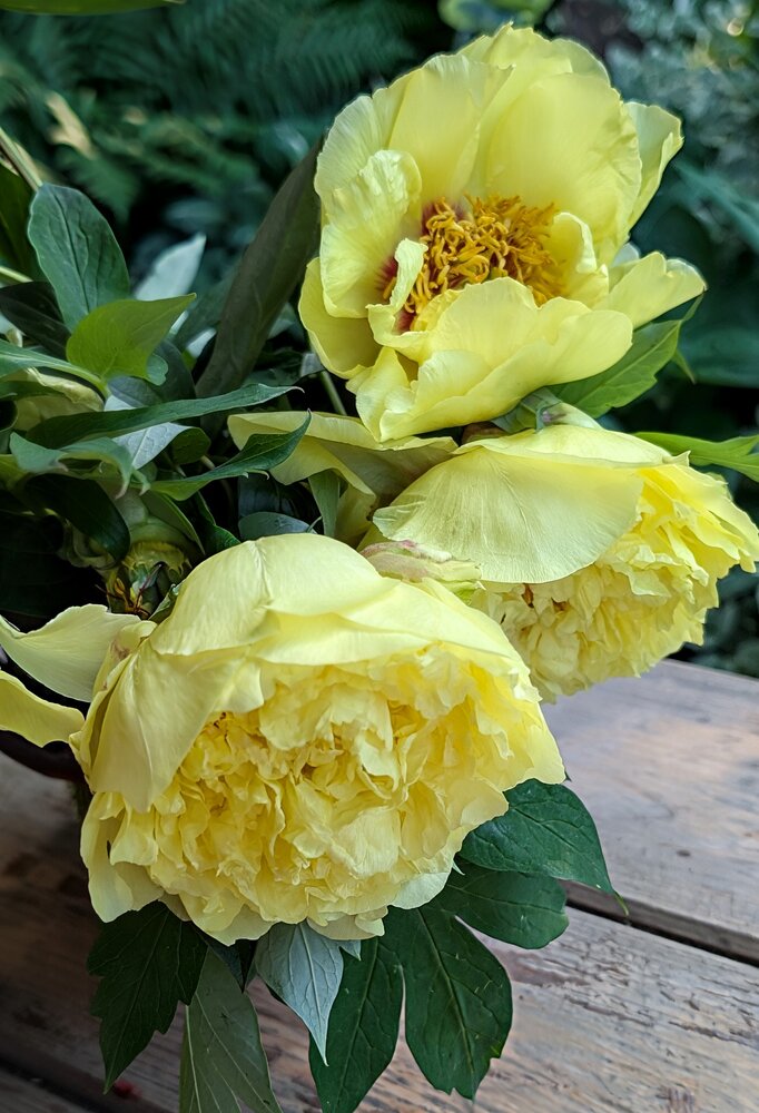 Photograph by Любовь Колмакова