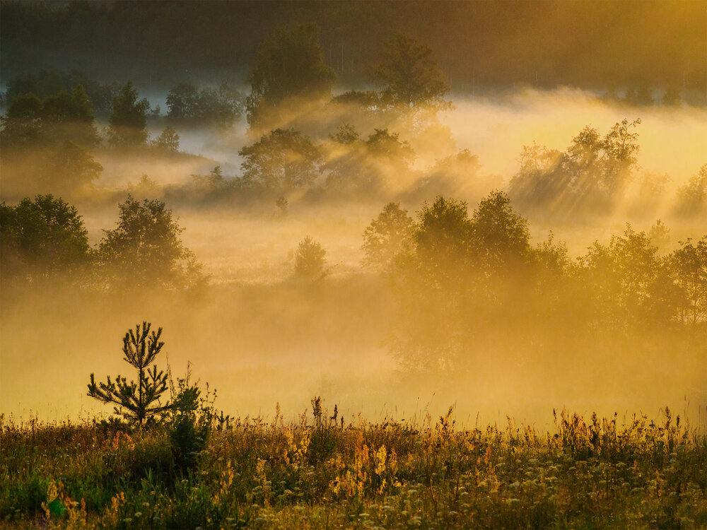 Photograph by Марина Брыдня