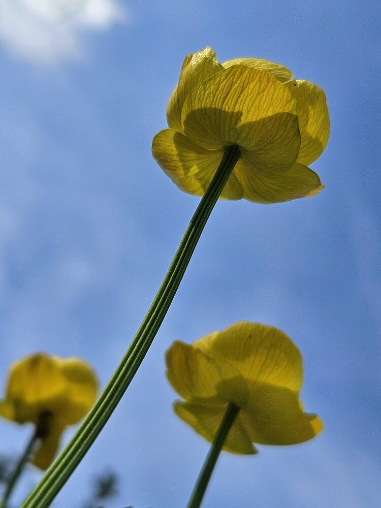 Photograph by Наталья Трефилова