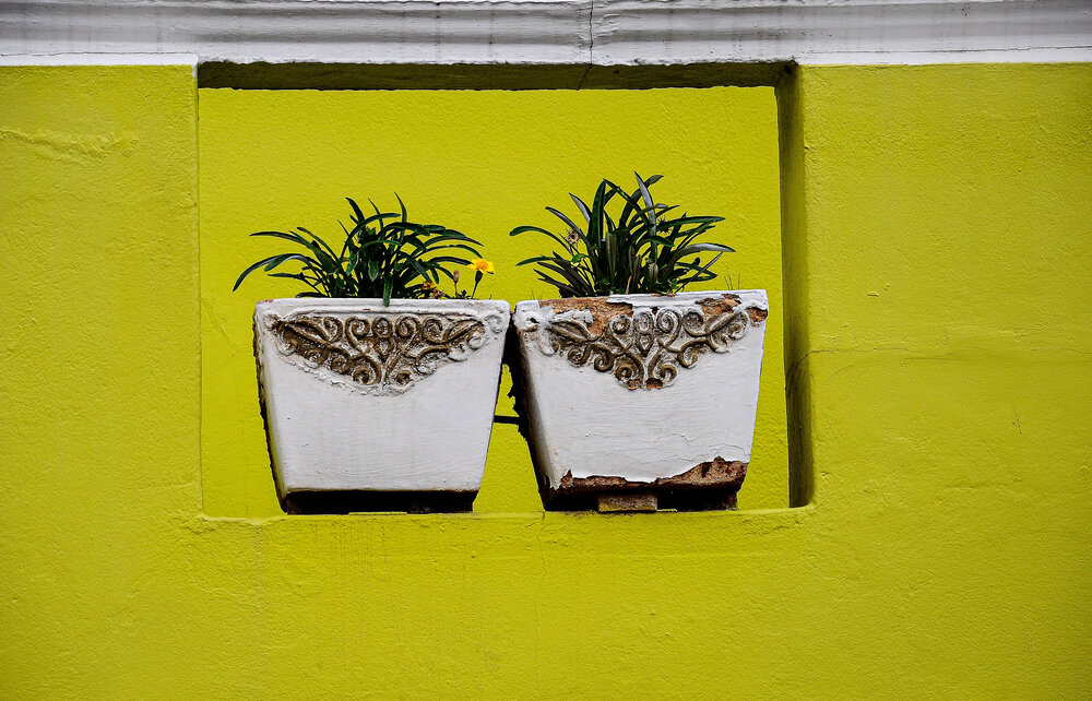 Solo amarillo