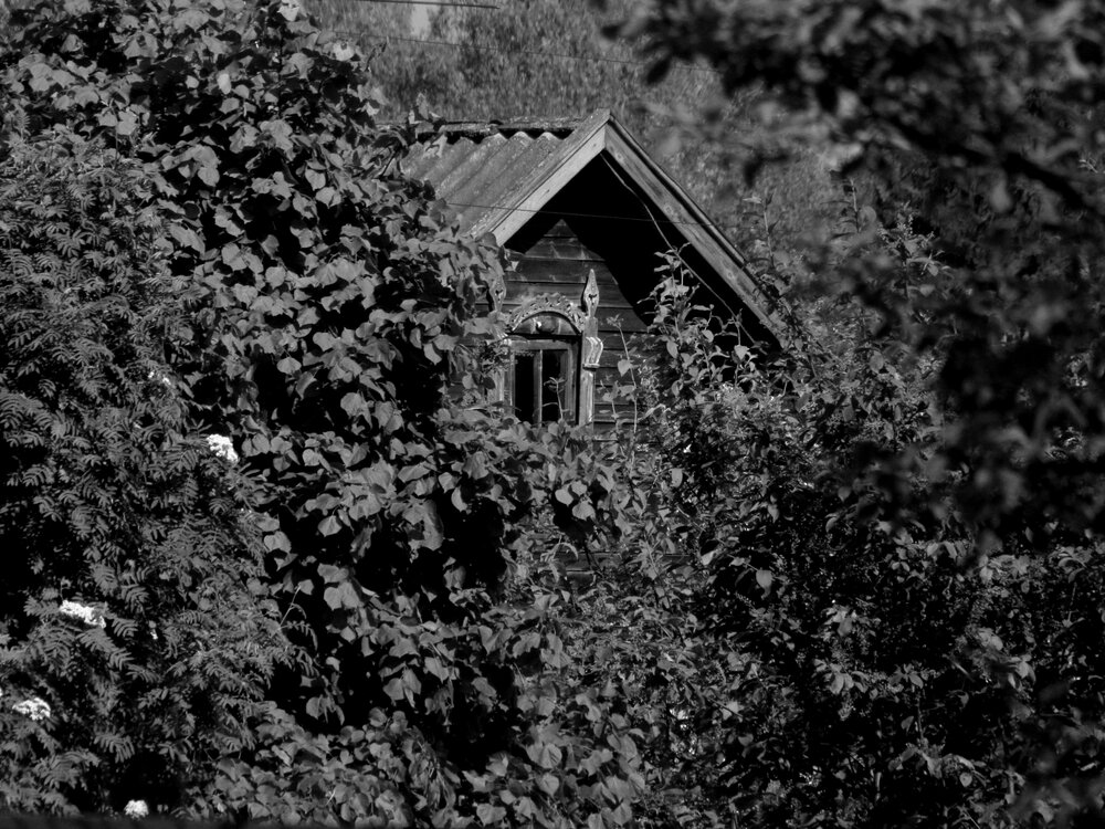 Photograph by Кузьмичева Екатерина Васильевна