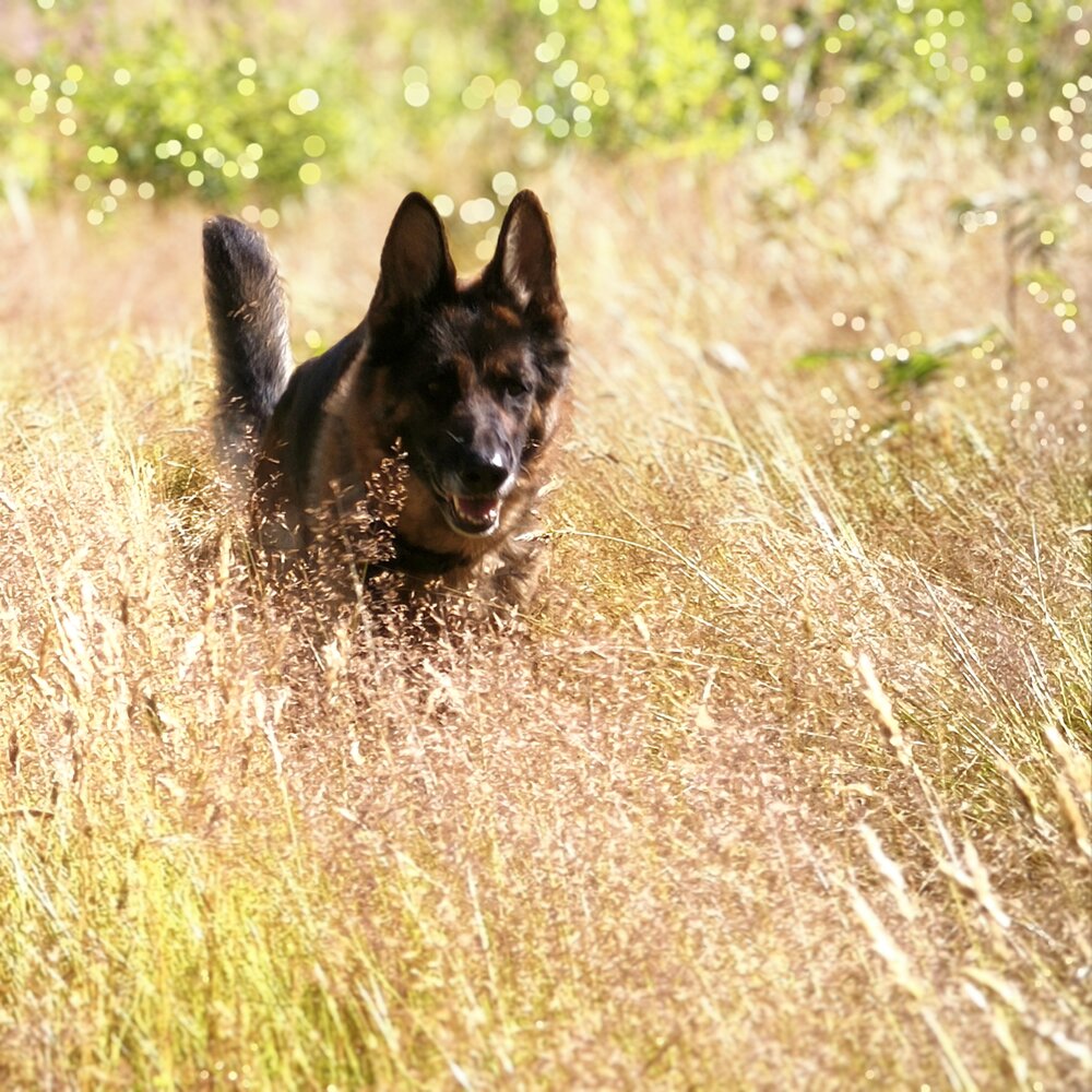 Photograph by Марина Опарина